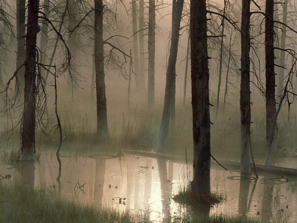 Nature_Art_photography10